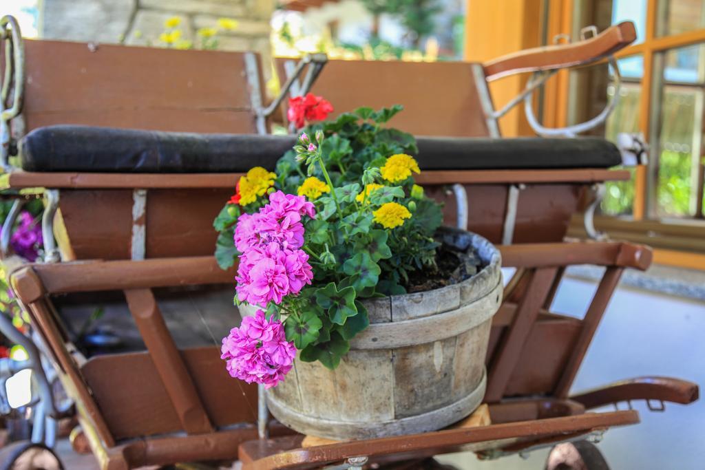 Hotel Garni Des Alpes